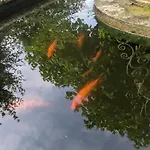 La Fontaine Aux Poissons Rouges 3* Moussac