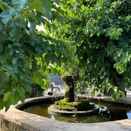La Fontaine Aux Poissons Rouges Moussac