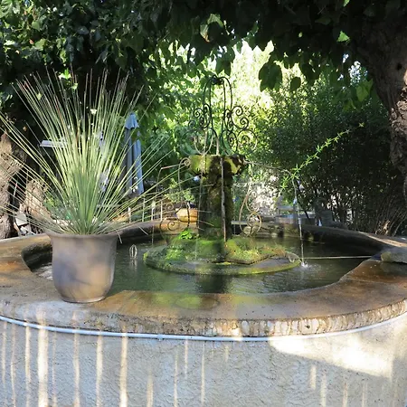 La Fontaine Aux Poissons Rouges