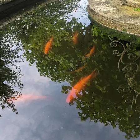 La Fontaine Aux Poissons Rouges 3* Moussac
