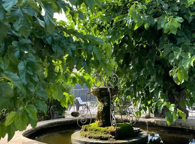 La Fontaine Aux Poissons Rouges Moussac