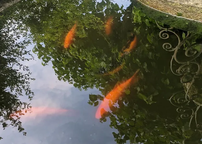 La Fontaine Aux Poissons Rouges 3* Moussac